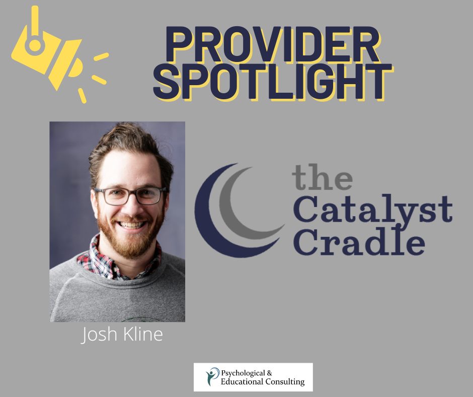 Provider Spotlight: The Catalyst Cradle