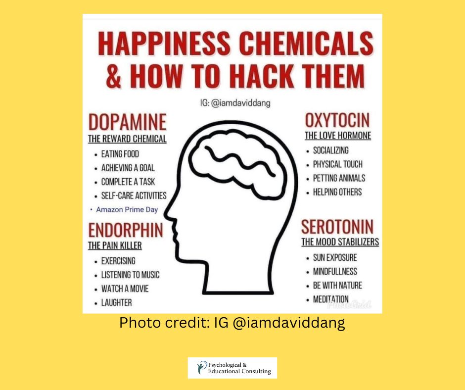 Happiness Chemicals