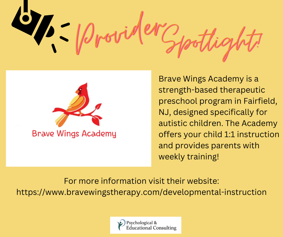 Provider Spotlight: Brave Wings Academy