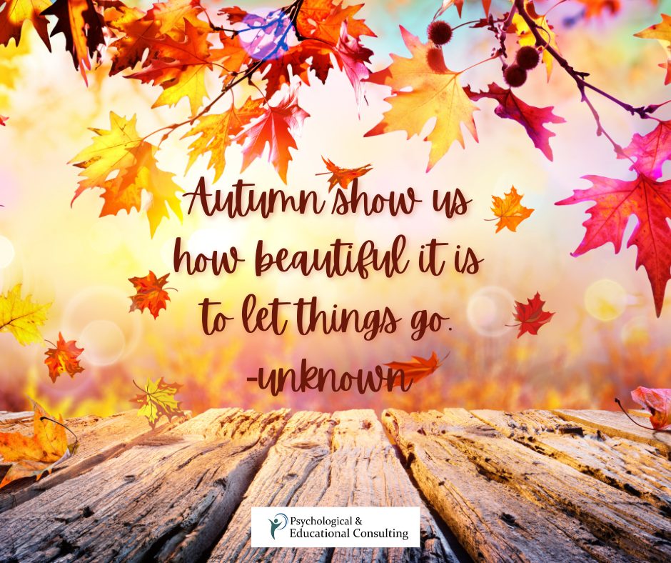 Autumn Shows Us…
