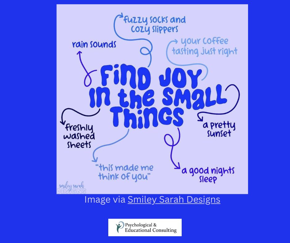 Finding the Joy in Small Things…